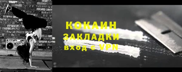 индика Сафоново