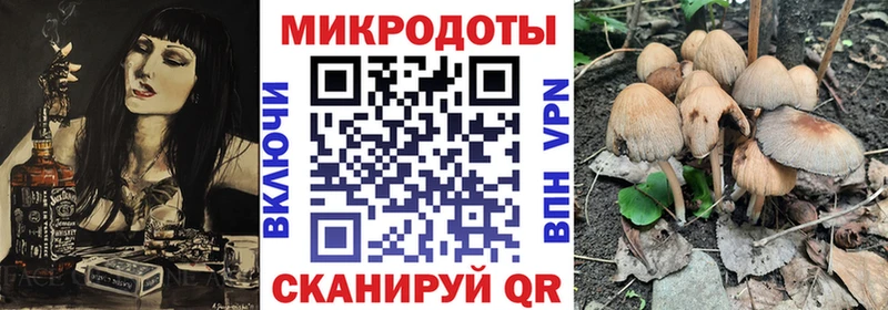 Купить где  Стерлитамак  Галлюциногенные грибы GOLDEN TEACHER 